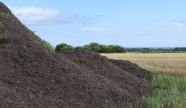 Topping soil for grass deals